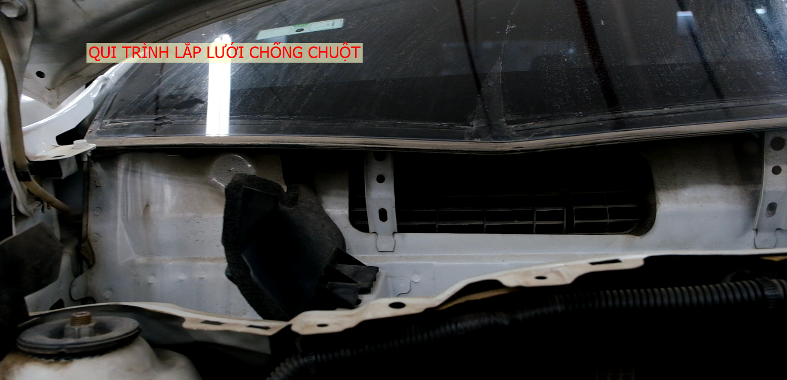 Quy trình lắp lưới chống chuột tại Toyota Hưng Yên